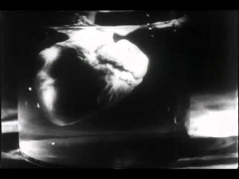 Tonight on Friday Night Freak show Maniac (1934)