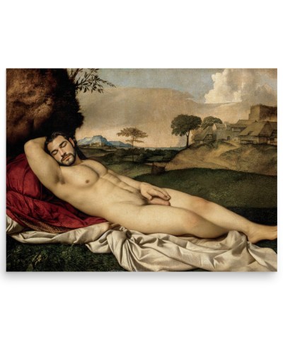 Featured image for “Sleeping Venus X - Poster print”