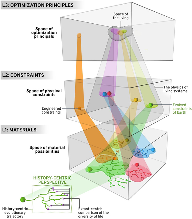 A New Theory Of Life's Multiple Origins - Astrobiology