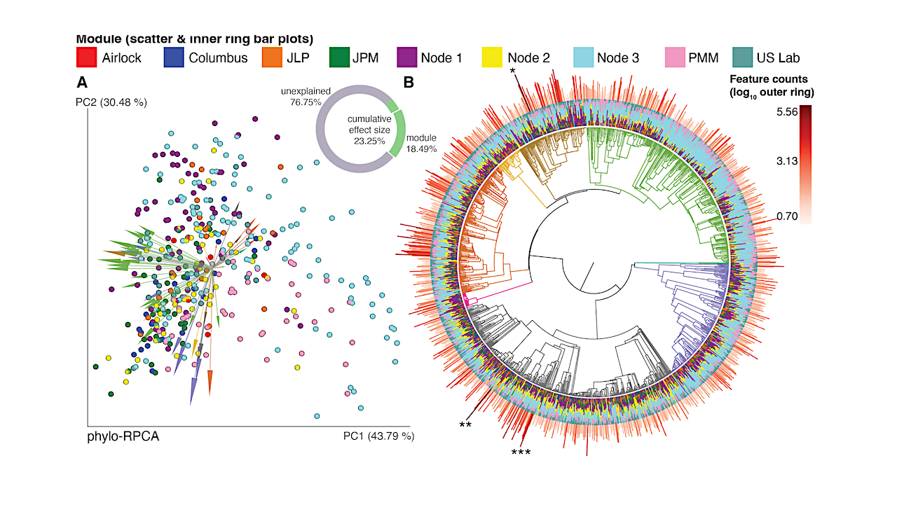 Unveiling the Microbial Mystery: Life Inside the International Space Station (2026)