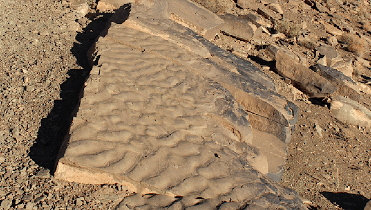 Wrinkly Rocks: Uncovering Ancient Microbial Life in Morocco (2026)