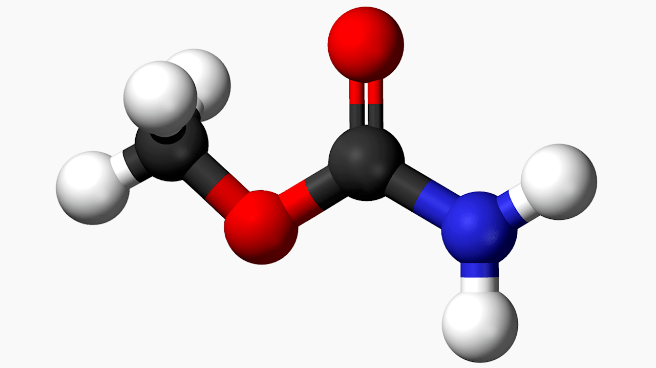 First Interstellar Detection of Methyl Carbamate: A New Observational Anchor for Glycine Chemistry (2026)