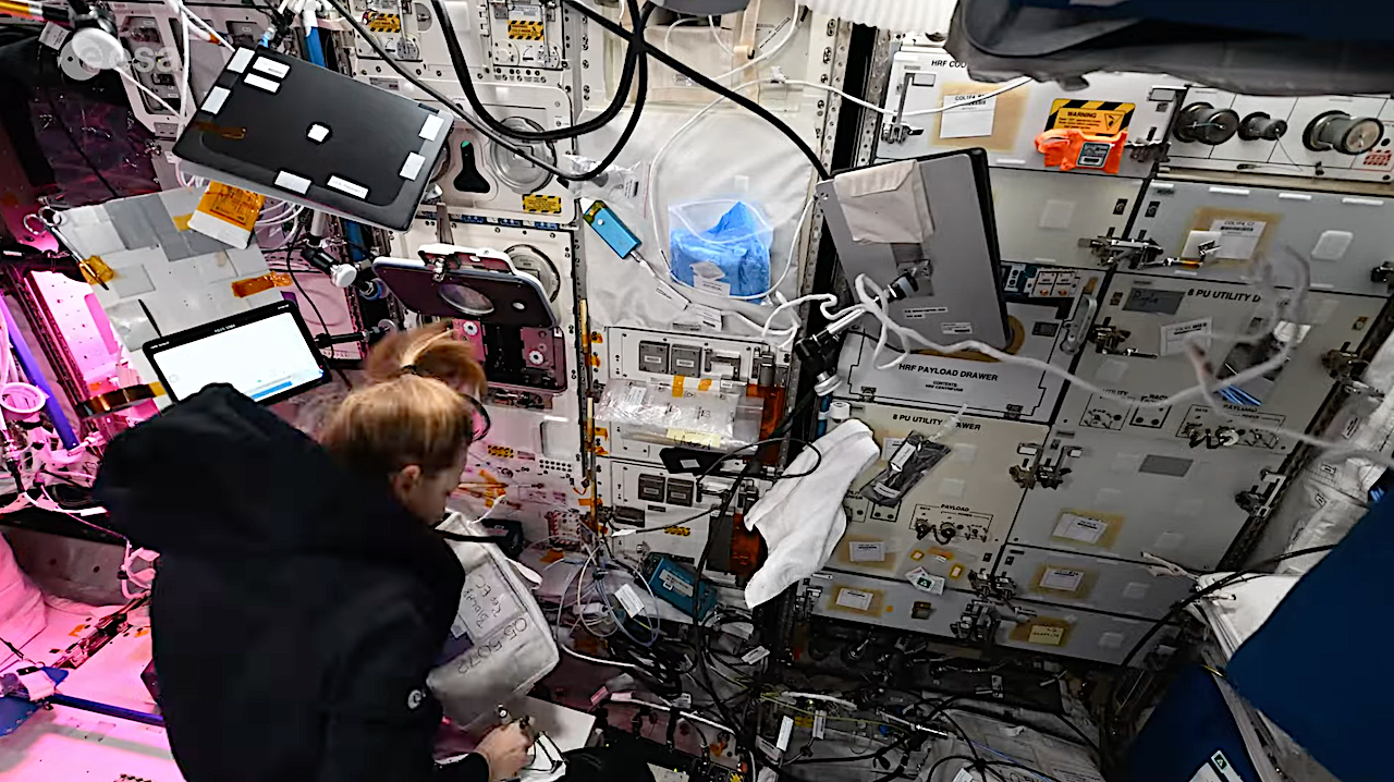 Offworld Biotech: Installing NEMUCO Experiment in Microgravity (2026)