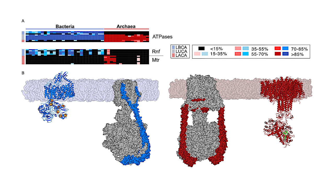 Intermediate Stages In The Origin Of Metabolism At A Phosphorylating Hydrothermal Vent
