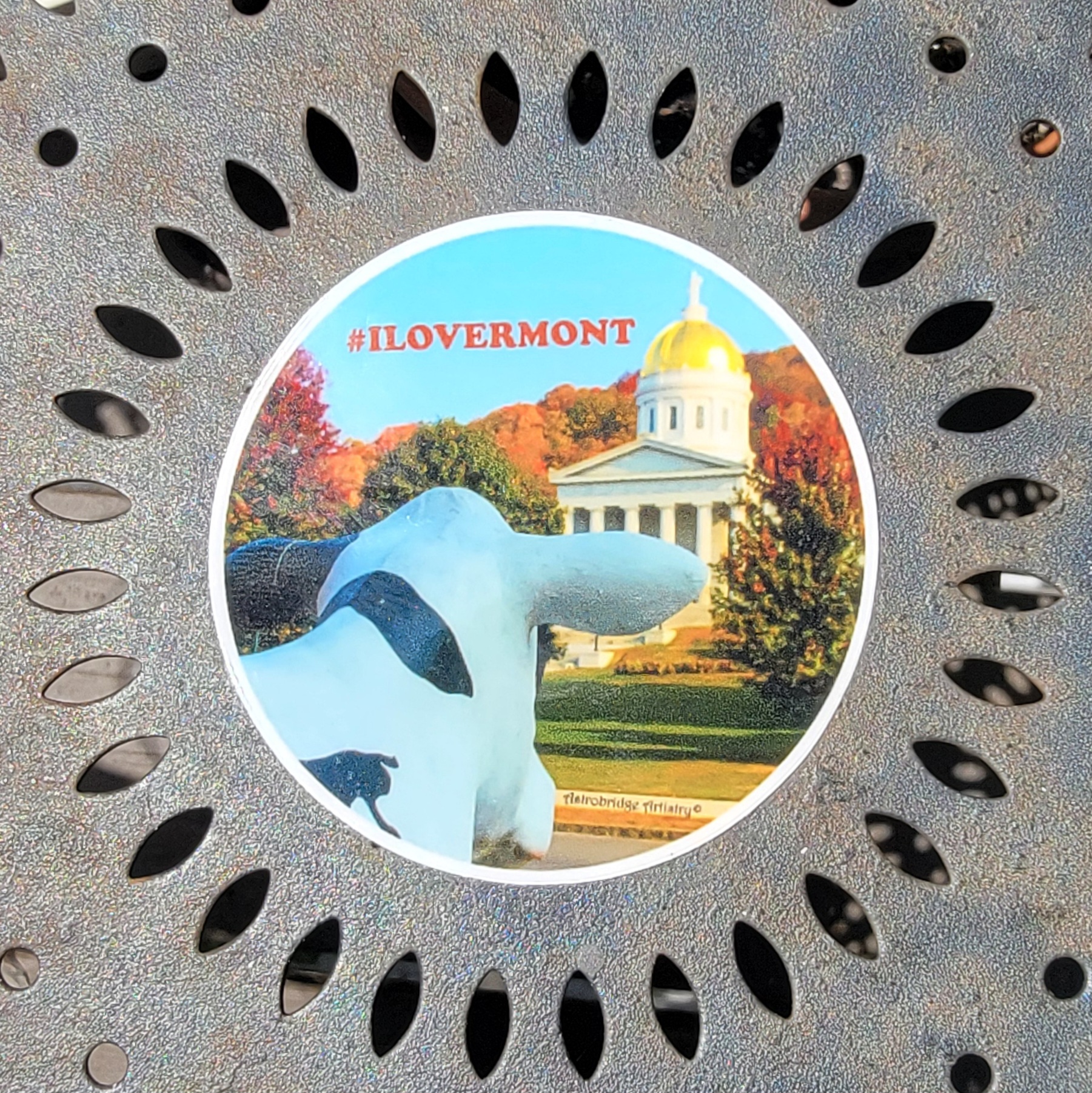 An image of a round 2.5 inch sticker with a glossy finish, featuring an image of a model of a holsteen cow, shot looking over the right shoulder of the cow statue, as she gazes across State Street in Montpelier VT at the Golden-Domed Capital Building, surrounded by mutlicolored Autumn trees with various red and orange foliage ablaze in the afternoon autumn sun. In the Sky above this scene is written: ILOVERMONT in all caps reddish orange text.