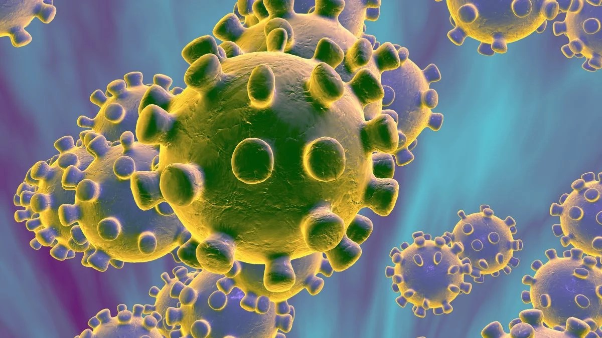 Coronavirus (COVID-19) - Anaysis and Predictions through Hindu Astrology.