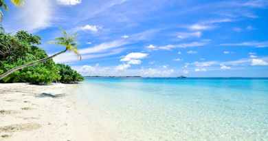 Pisces on the beach