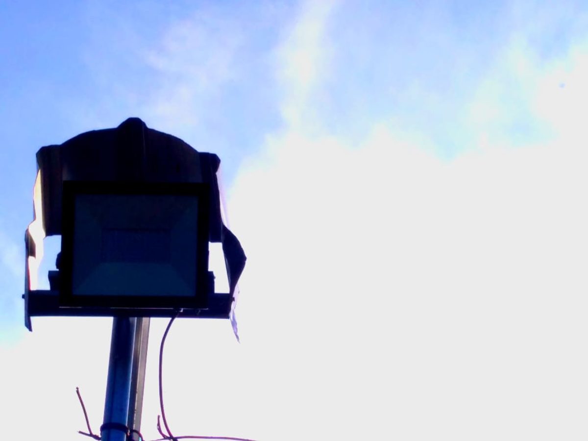 Zakat Hewan Ternak - Majalah Islam Asy-Syariah