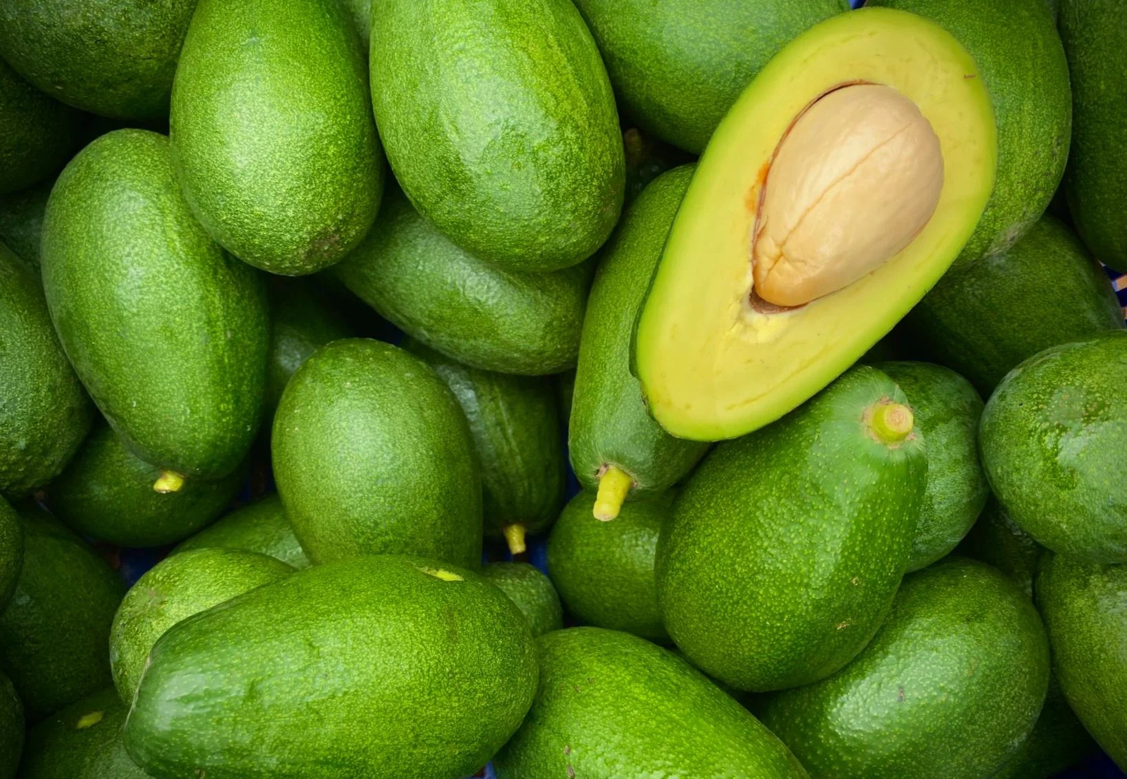 Eeuu reanuda inspecciones de aguacate en méxico