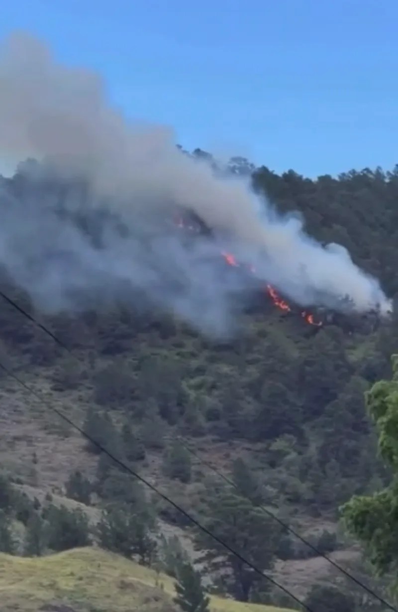Nuevo incendio forestal afecta cañada seca, constanza