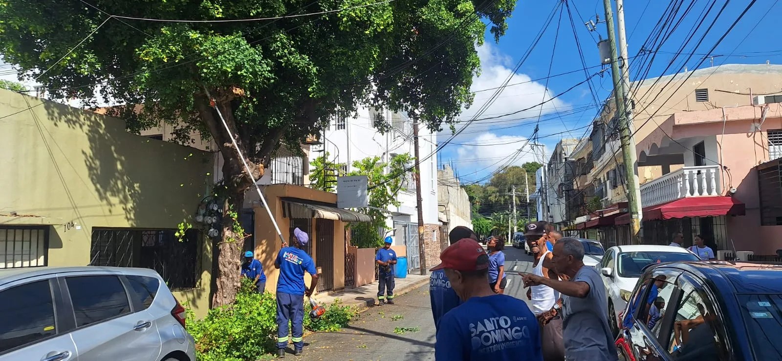 Alcaldía intensifica poda y limpieza de imbornales ante lluvias en el distrito nacional
