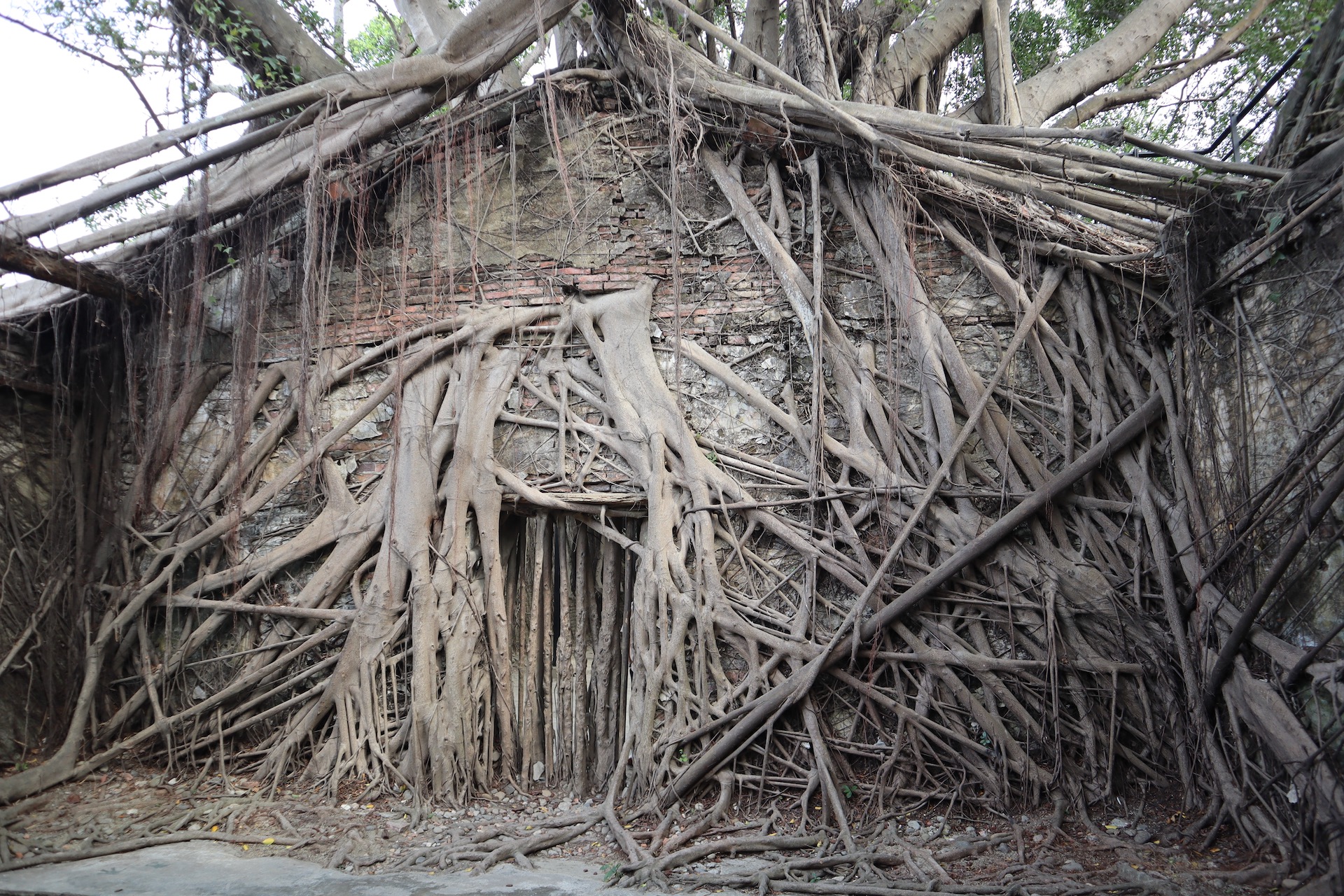 Tainan, Anping Tree House