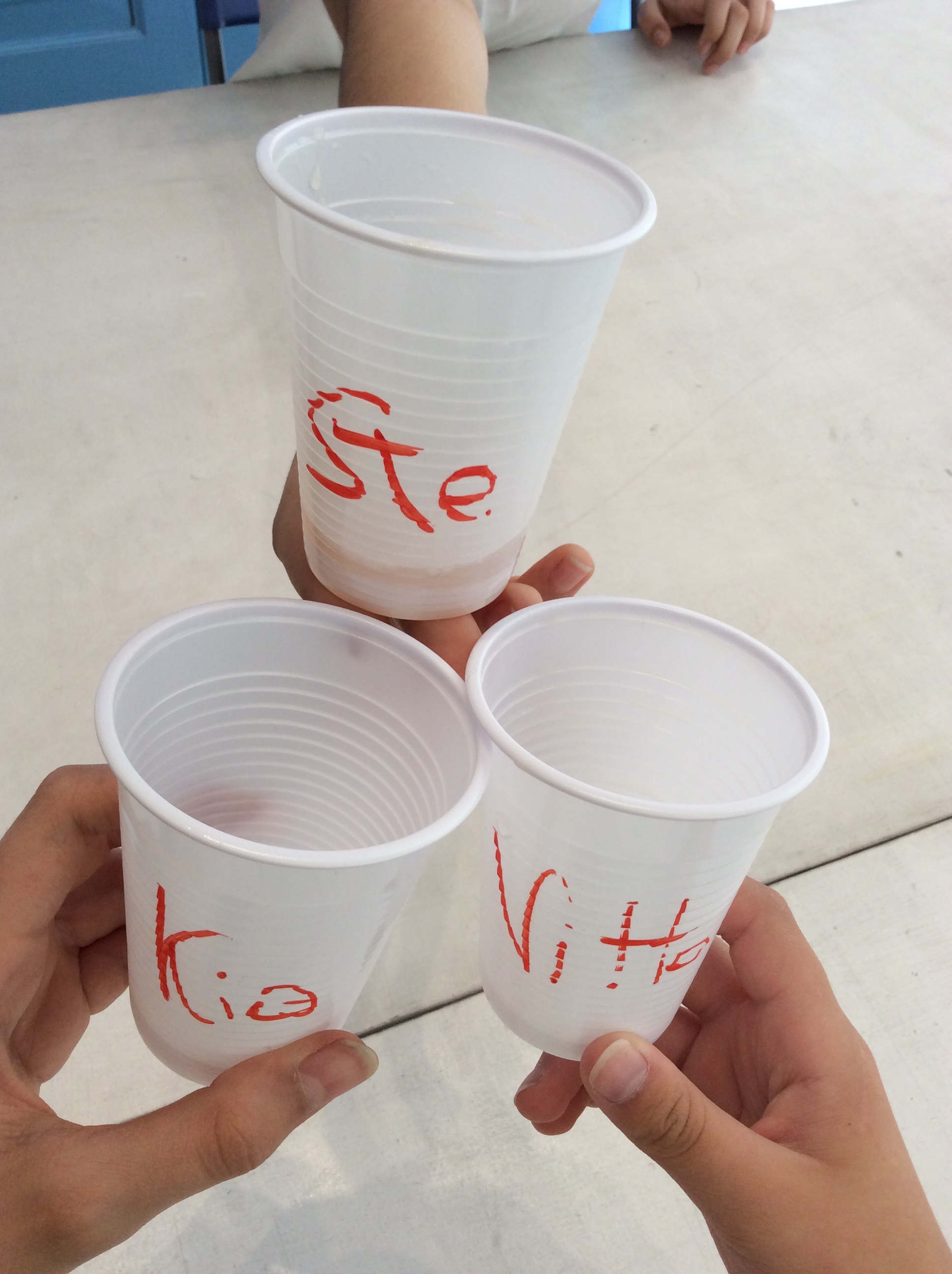 Brindisi di fine corso - 1 settimana