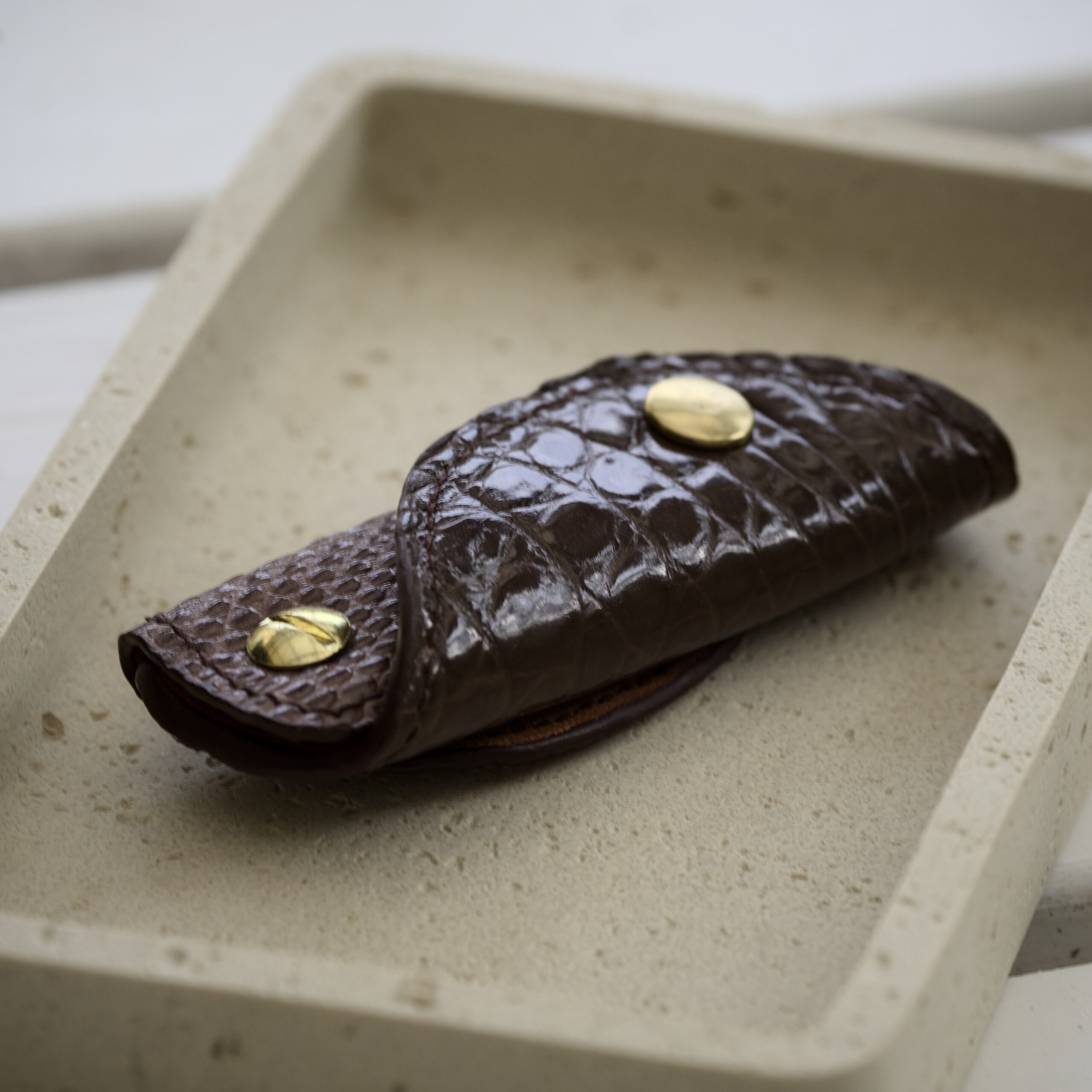 Keyholder | Olive brown crocodile & Coffee latte lizard