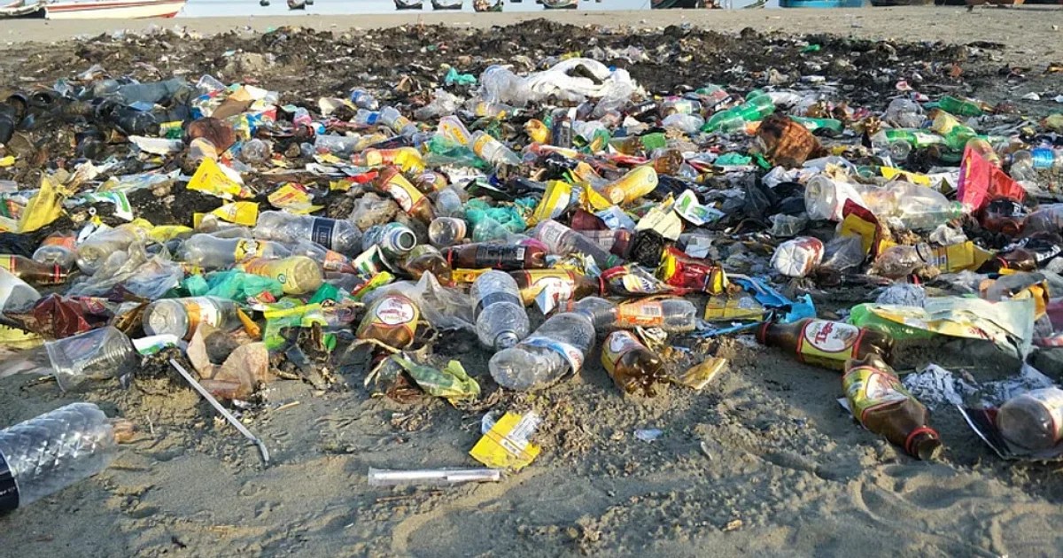 கடலில் குப்பைகளை கொட்டியவர் கைது