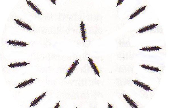 A schematic view of what the circular kyklos formation would have looked like from above. A schematic view of what the circular kyklos formation would have looked like from above.