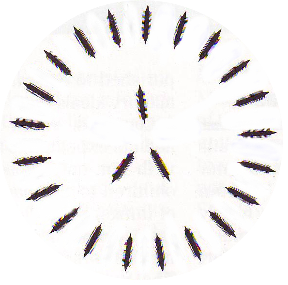 A schematic view of what the circular kyklos formation would have looked like from above.