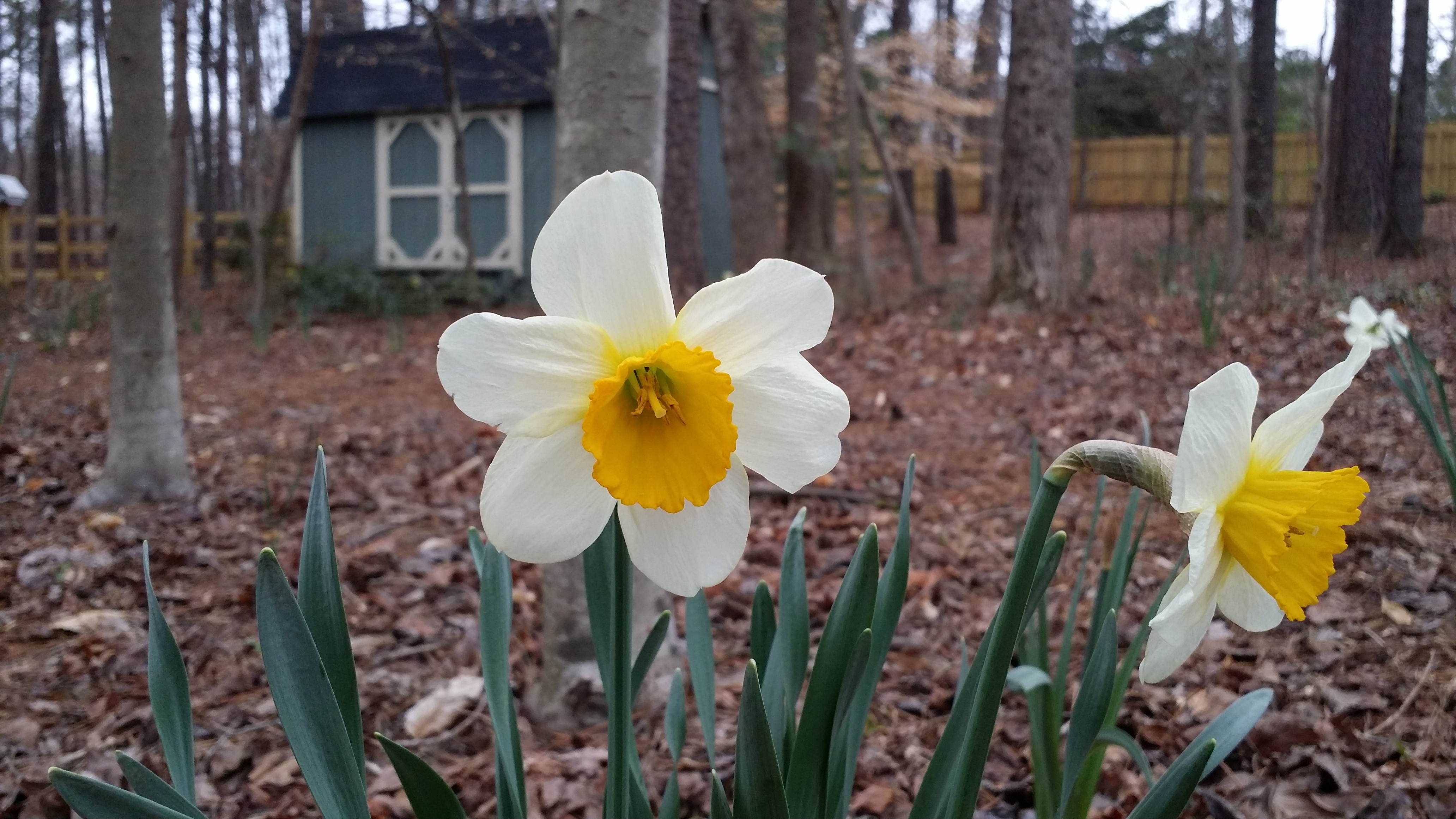 First Day Of Spring 2015-Let’s Look At Spring Creek