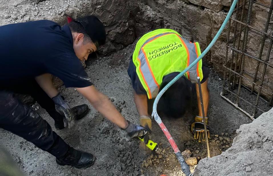 El Ayuntamiento de Torreón ha atendido más de 370 reportes para el rescate y manejo de fauna