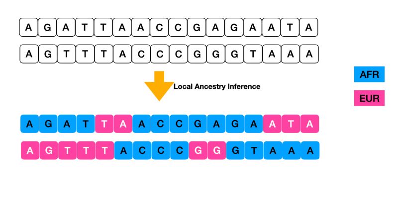 Github Atkinson Lab Tractor Tutorial - Sunset Images - Professional High Resolution Collection