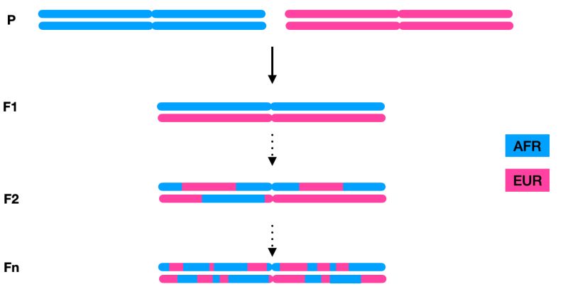 Github Atkinson Lab Tractor Tutorial - Full HD Minimal Patterns for Desktop