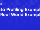 Data Profiling Example 10 Real World Examples
