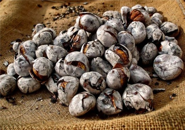 The resort town of são martinho do porto sits on one of the most unique coastal features of portugal and is a wonderful place for a family holiday. Sao Martinho Celebration 11 November Portugal Lifestyle At Its Best