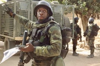 Two Terrorist Commanders Surrender as Hadin Kai Gains Ground