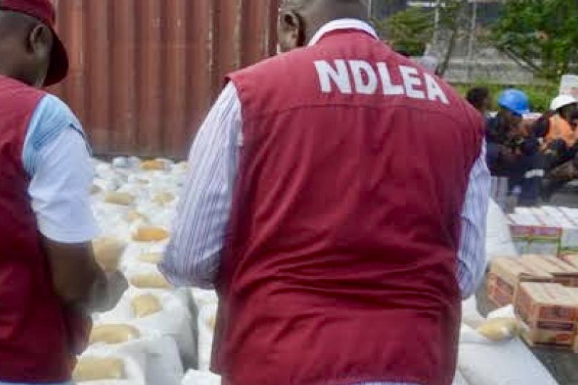 NDLEA, Army Raid Edo Drug Hub, Seize 604.5kg Cannabis