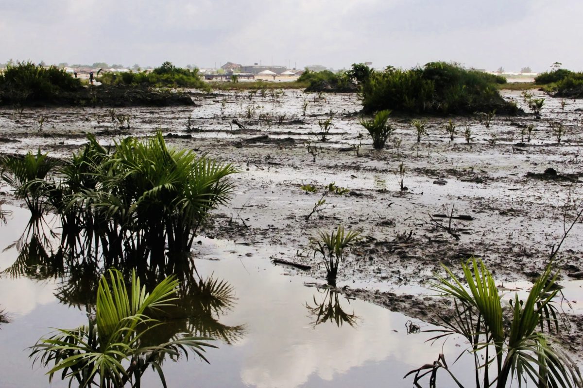 Niger Delta Oil Pollution: Who Will Pay for Recovery?