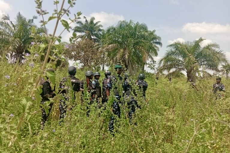 Nasarawa Forest Raids: Can Police Break the Kidnap Cycle?