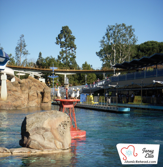 Seagulls call out as guests venture into the world of fish