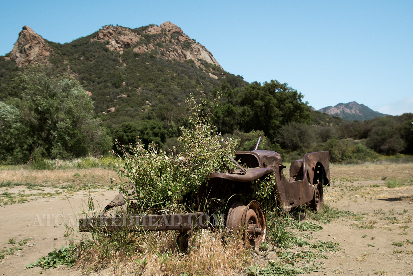 A rusted out Jeep that was used in the show, now with a bush growing through the area where the engine once was.