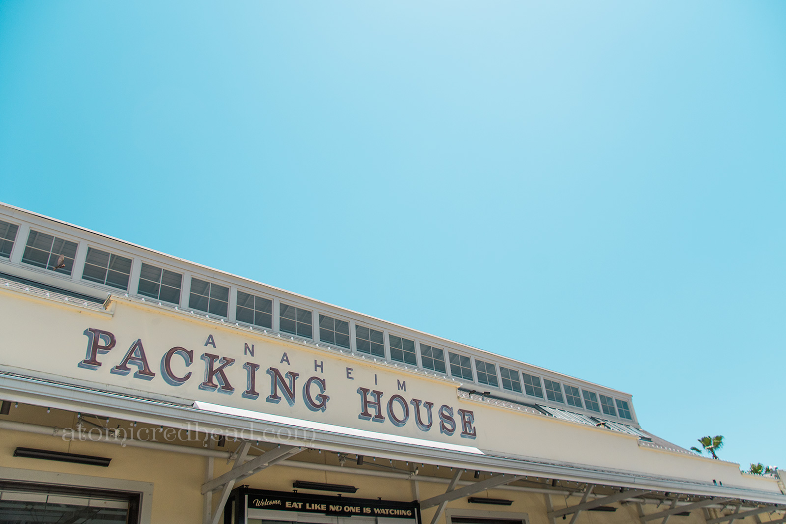Side of the Packing House with large windows allowing natural light inside.