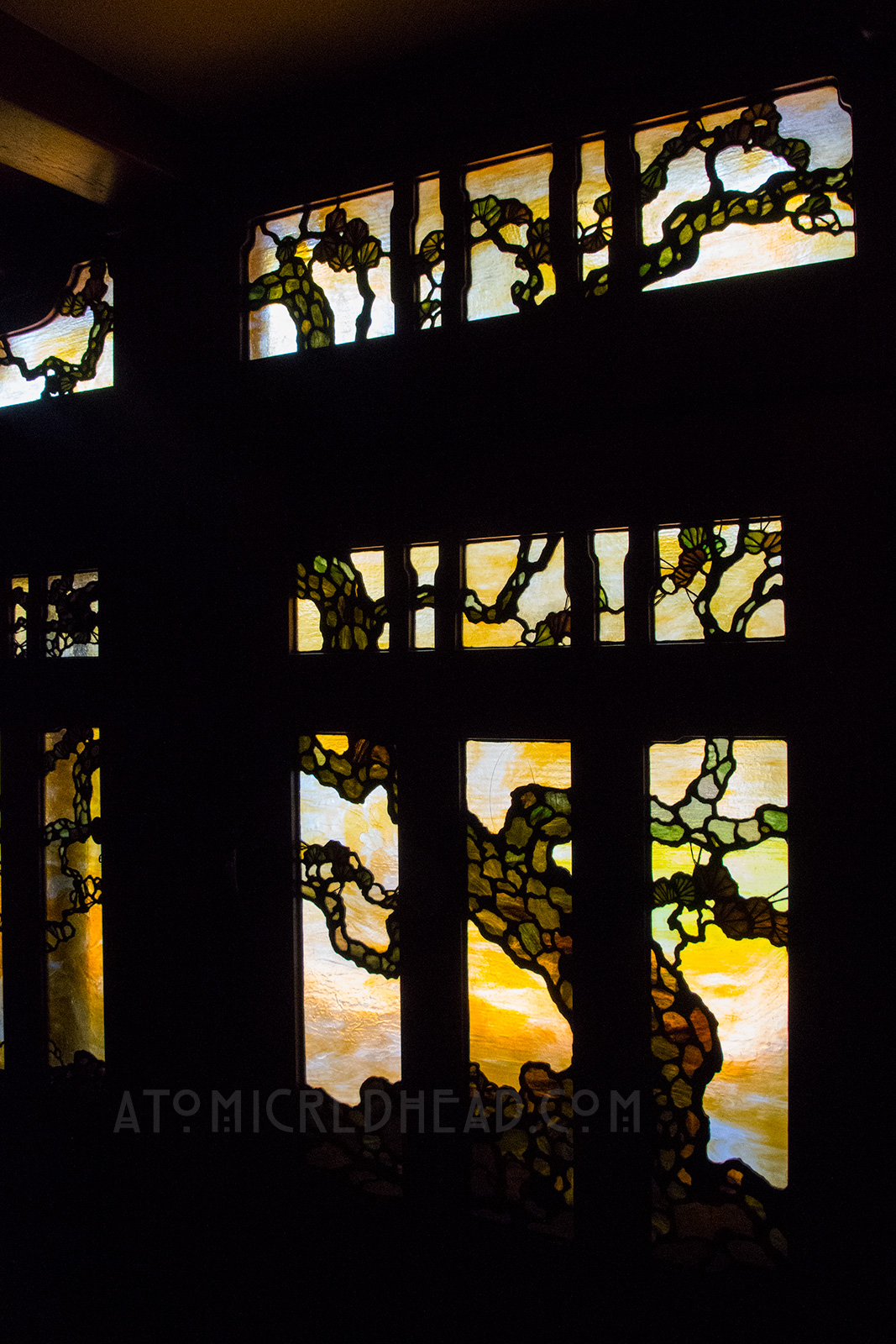 Interior of the front door - a stained glass tree.