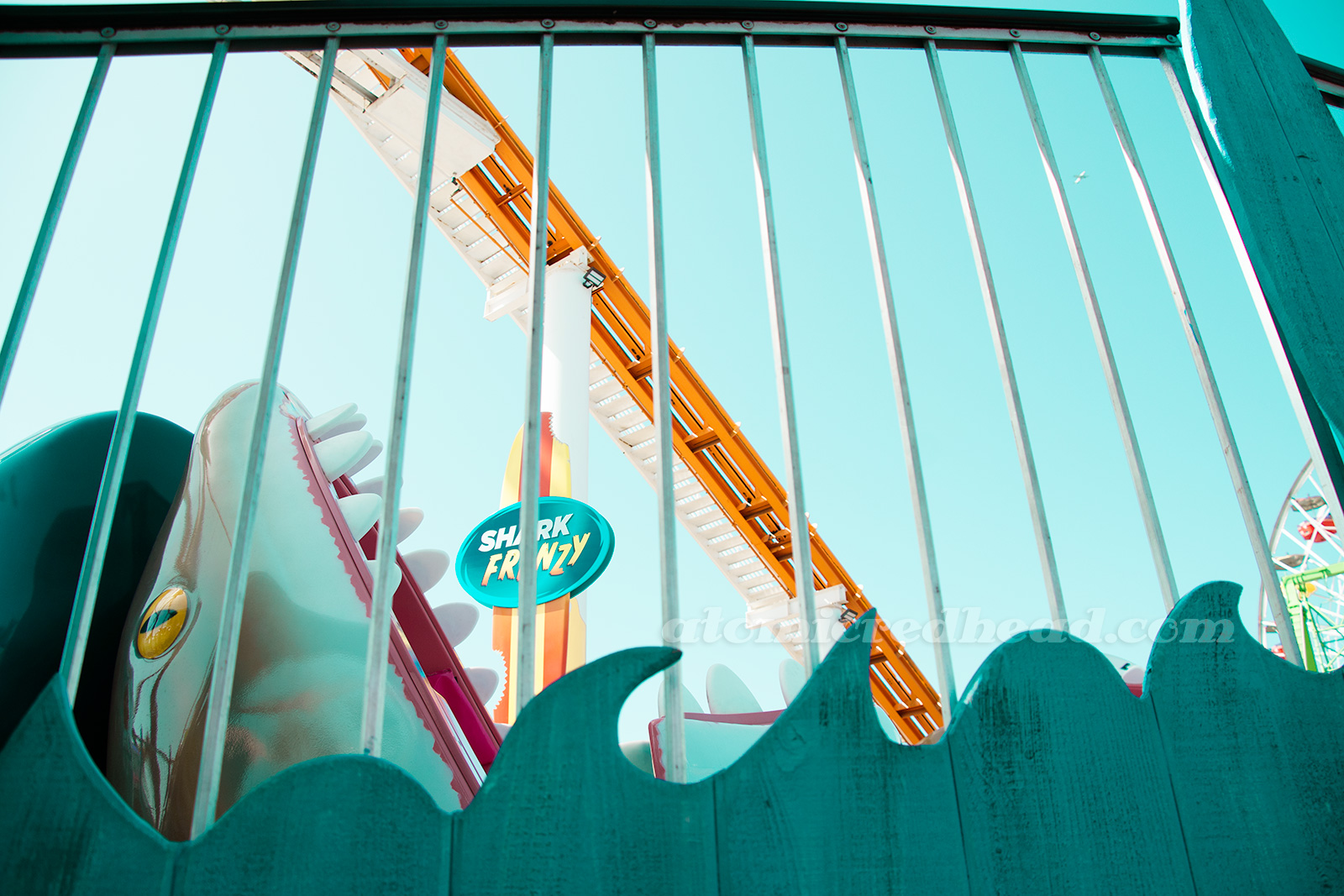 Shark Fury, a Tilt-a-Whirl type ride where riders sit in a shark's mouth.