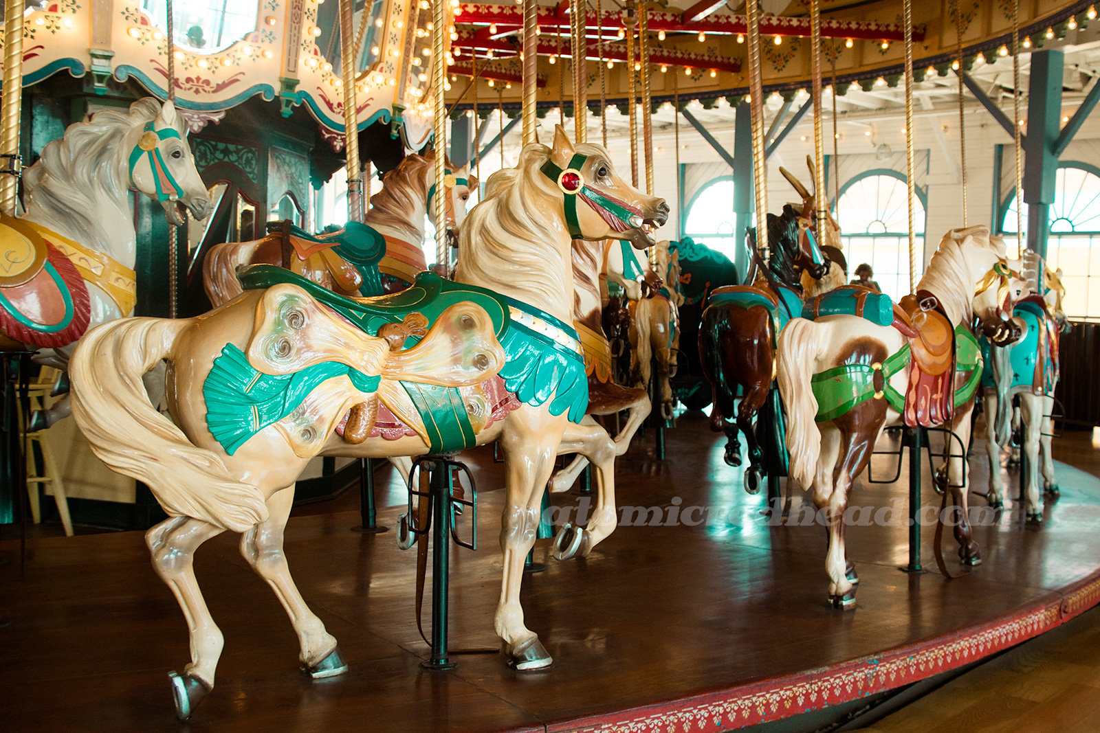 Horses frozen in mid-trot, some white, tan, black.