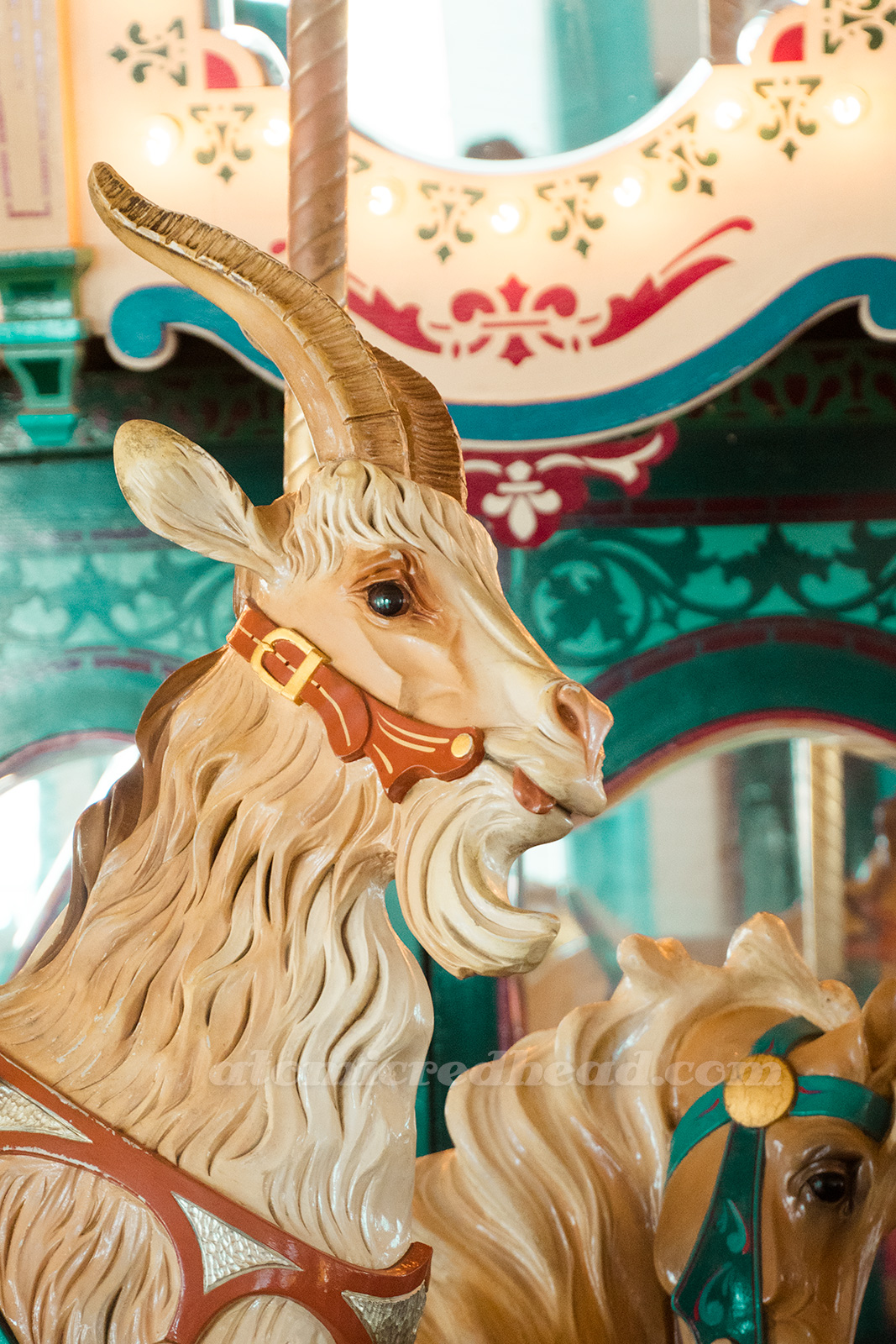 A goat is also an option to ride!