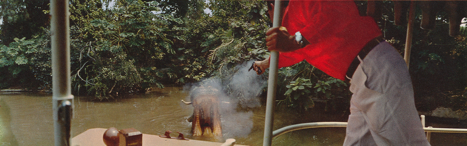 A Jungle Cruise skipper shoots at a hippo.