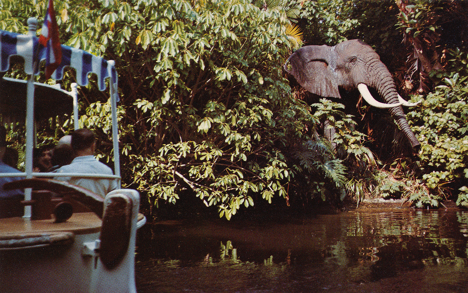 A Jungle Cruise boat glides by a large African Bull Elephant.