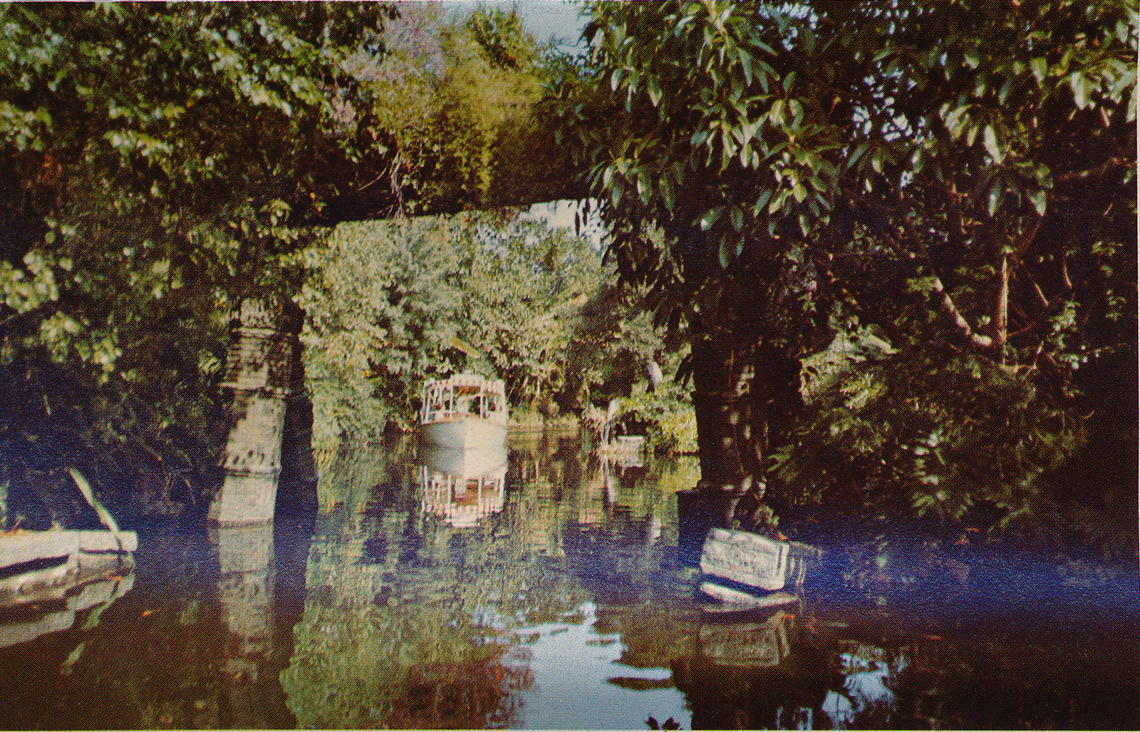 A Jungle Cruise boat glides along one of the many waterways, massive green foliage hangs above and off to the side.