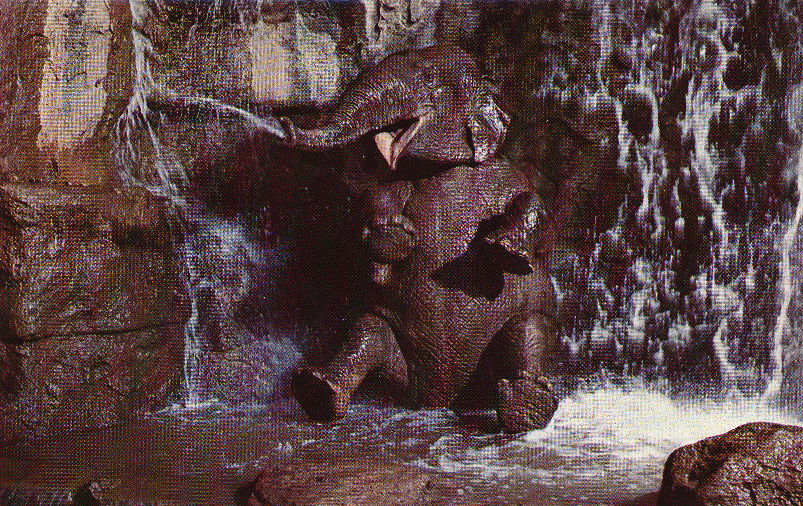 An elephant sits in a waterfall, blowing water from her trunk.