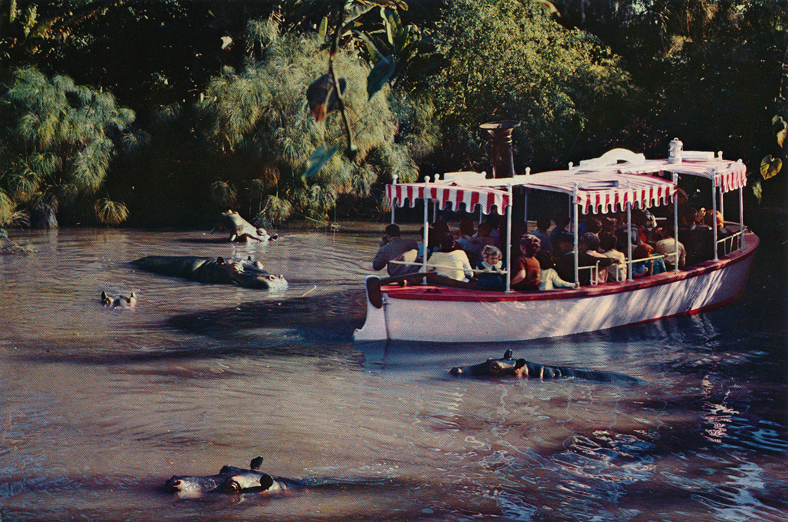 A Jungle Cruise boat glides through a hippo pool with hippos peeking out from the water.