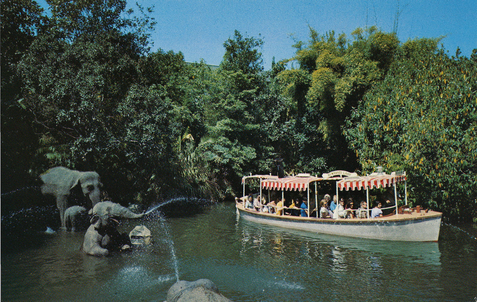 A Jungle Cruise boat glides through the sacred elephant bathing pool with a variety of elephants.