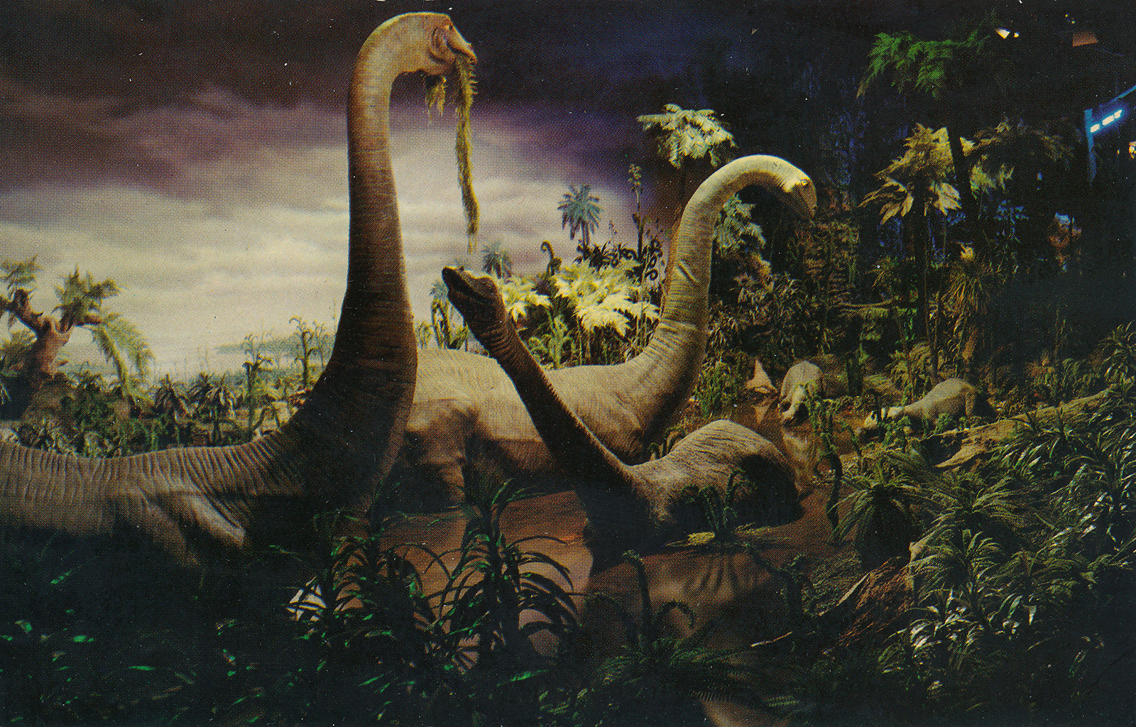 Long neck dinosaurs are part of the what Guests see as they go back in time to the Primeval World as part of their train journey along the Disneyland Railroad.