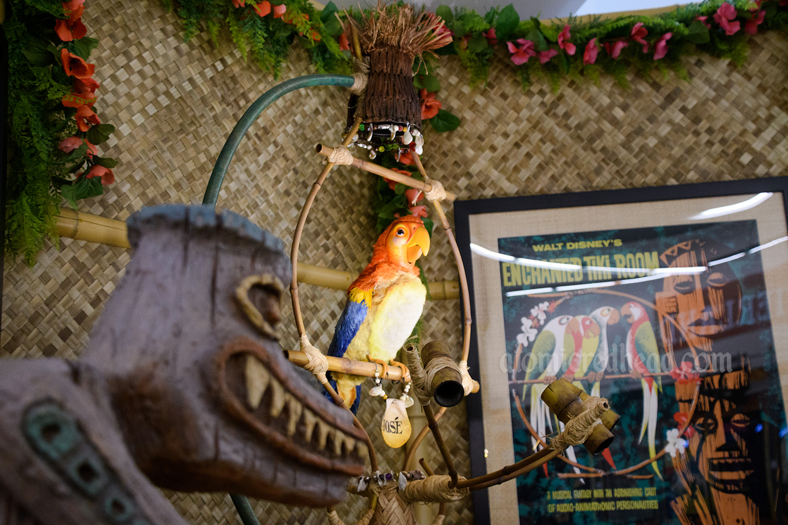 Jose, the parrot from the Enchanted Tiki Room sits on a bamboo perch.