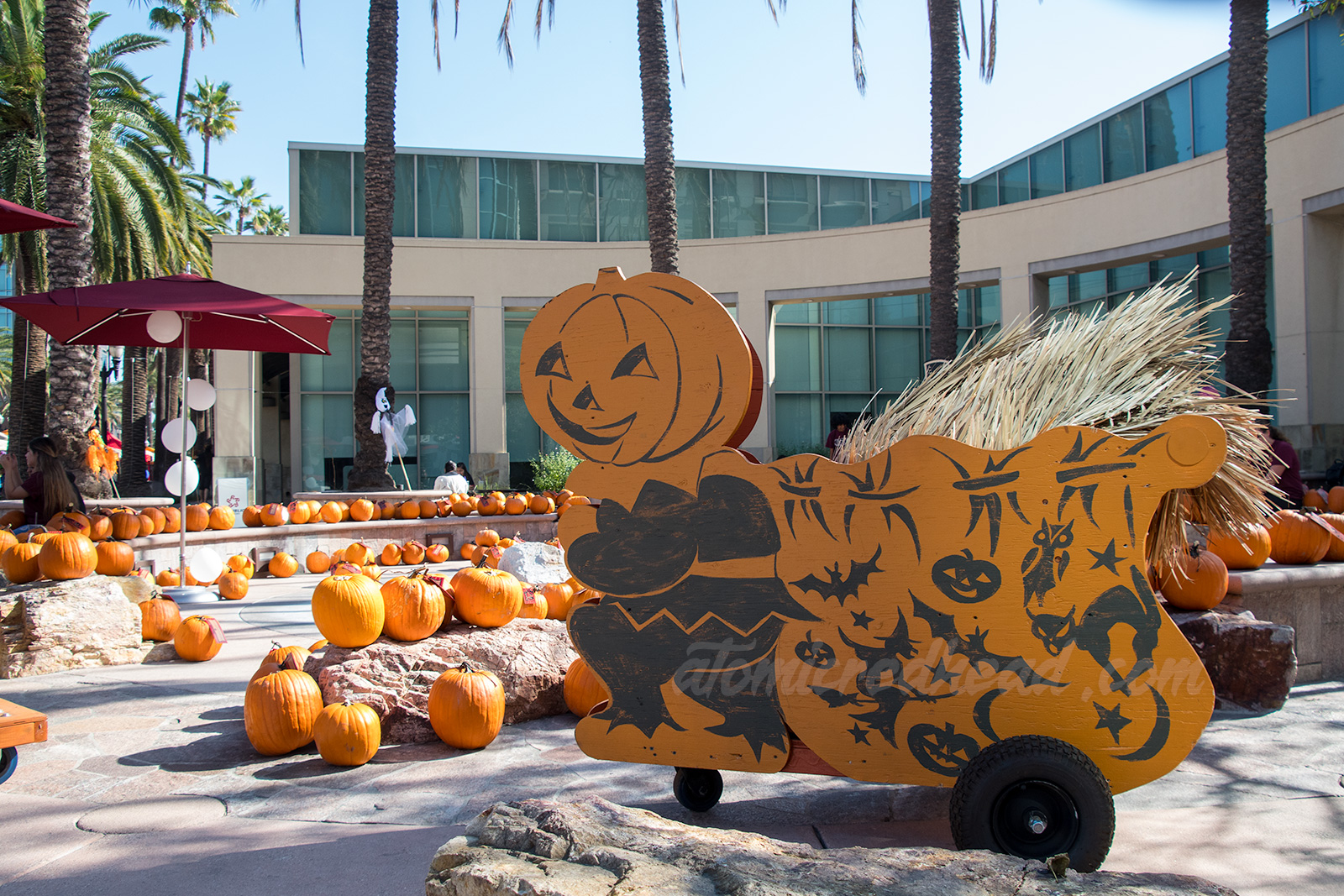 A pumpkin headed man holds a bag printed with bats, pumpkins, skeletons, and witches, among a variety of pumpkins.