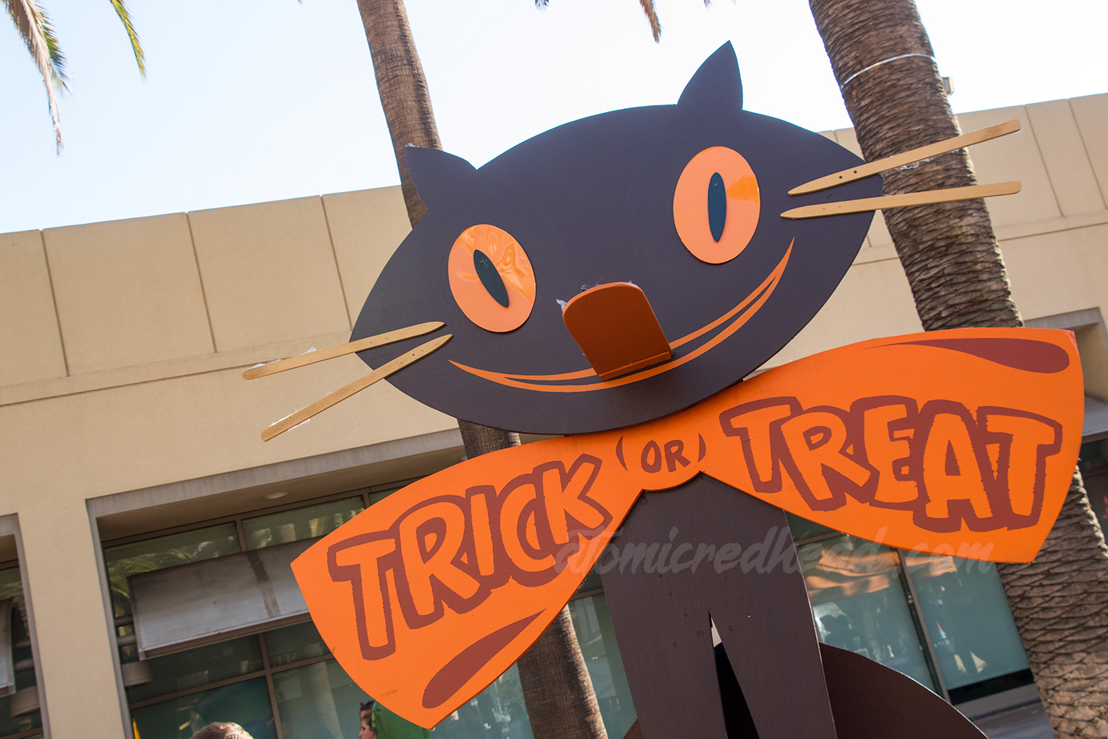 A large black cat with a big orange bowtie reading "Trick or Treat"