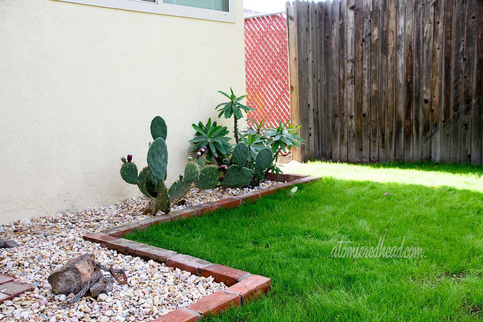 A prickly pear sits in the brick planter, jutting out from the side of the house.