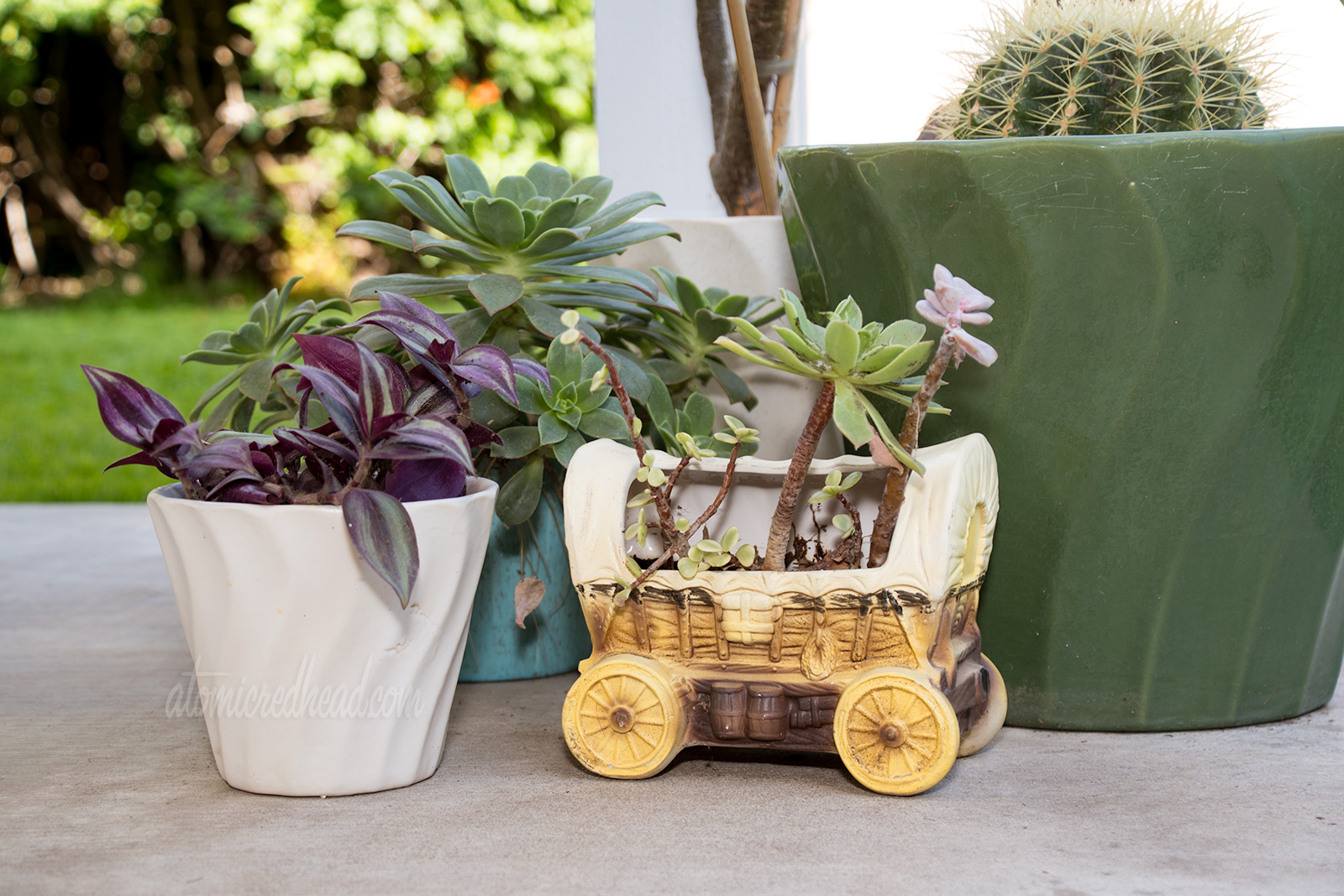 Various ceramic planters, one in the shape of a covered wagon, are home to various cacti and succulents.
